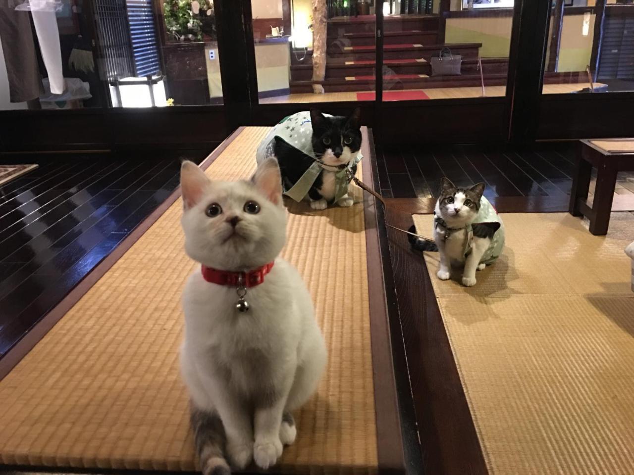 Nishiya Hotell Yonezawa Exteriör bild